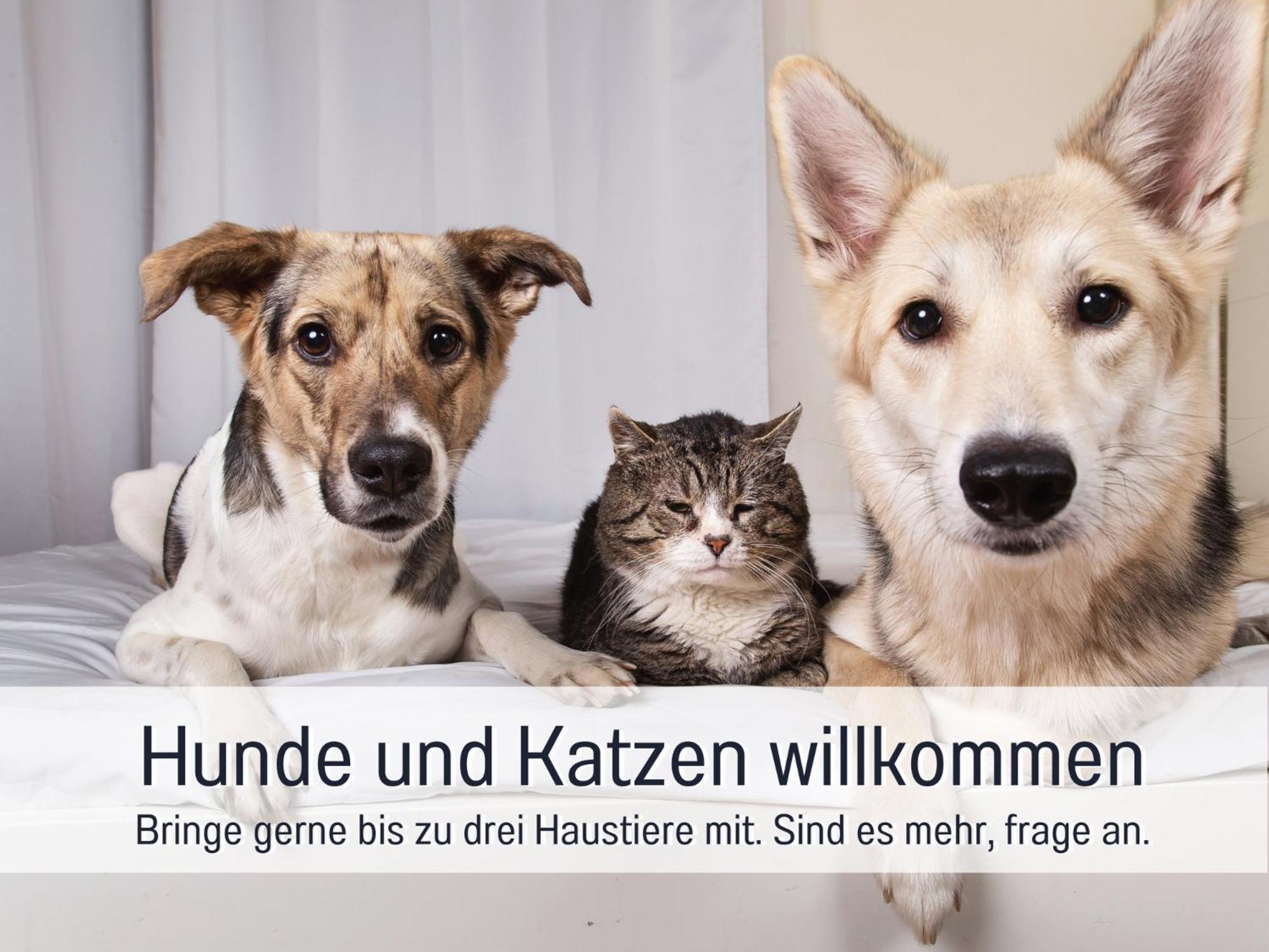Ferienhaus Toepferhaus - Strandnah, Haustierfreundlich, Optimal Fuer Workation, Kaminofen, Garten, Fuer Paare Und Alleinreisende Steinberg  Екстериор снимка